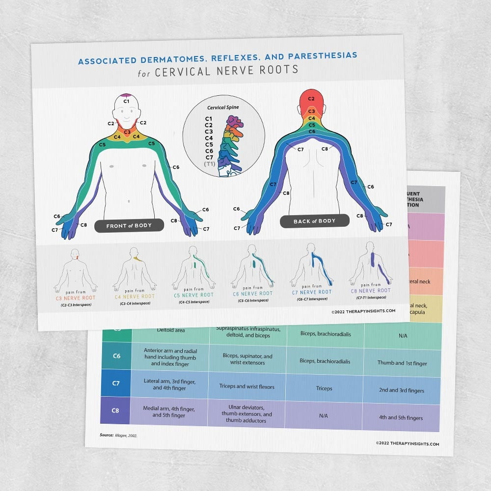 Dermatomes And Refelxes Cervical Dermatomes Chart And Map