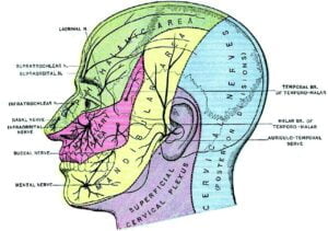 A Case Of Shingles Following Auricular Acupuncture American Board Of Family Medicine