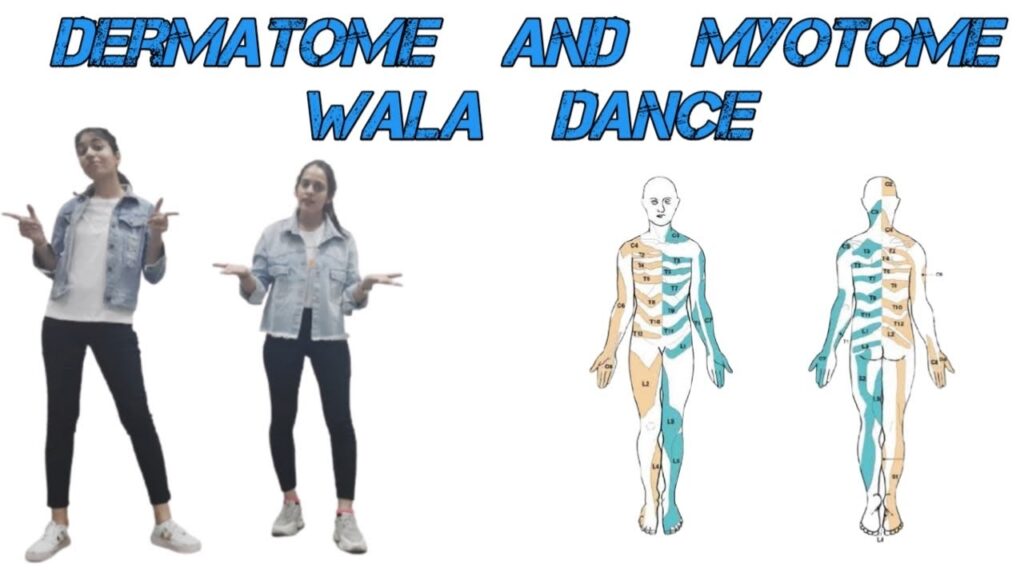 Dermatome Dance Upper Limb