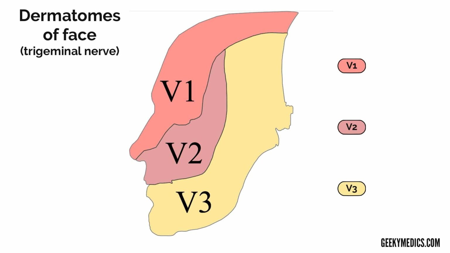 Dermatomes And Myotomes Sensation Anatomy Geeky Medics Dermatomes