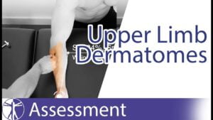 Dermatomes Upper Limb Peripheral Neurological Examination YouTube