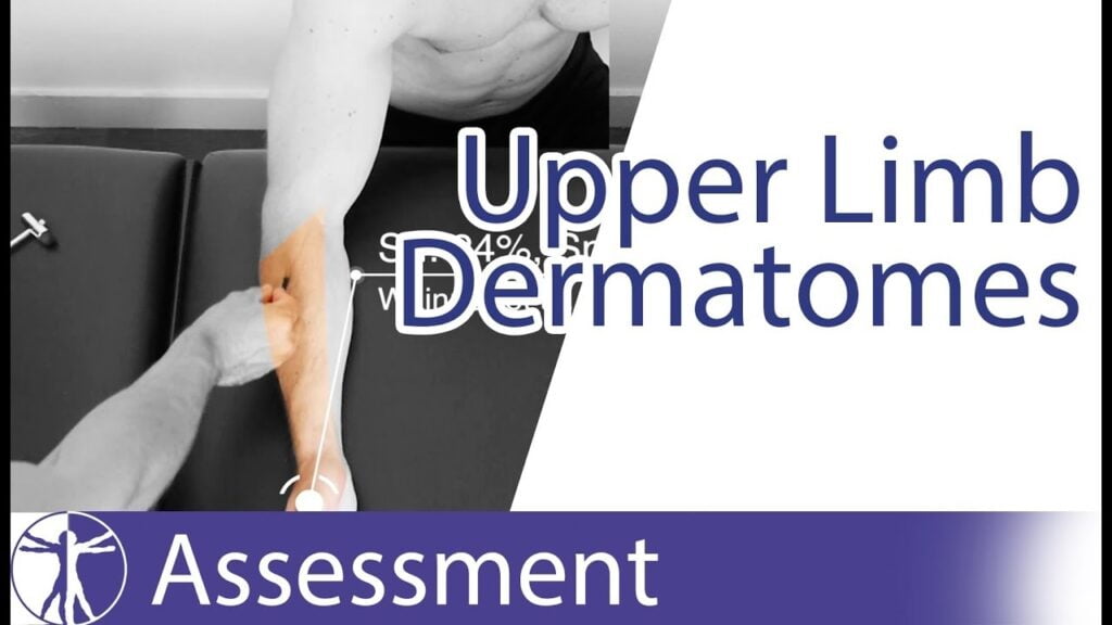 Upper Extremity Dermatomes Testing