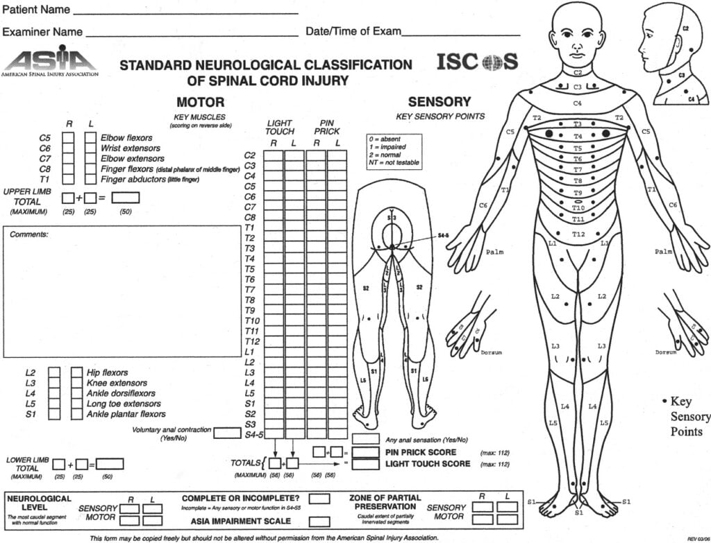 Spinal Cord Injury Medicine 1 Epidemiology And Classification ScienceDirect
