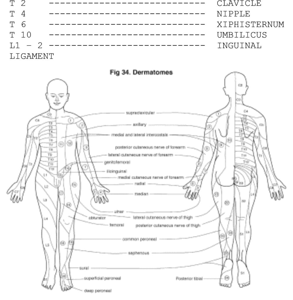 Dermatome Scale For Spinal Anesthesia